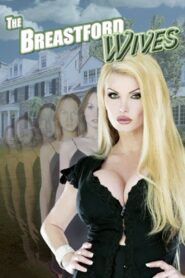 The Breastford Wives 2007 one on netflix