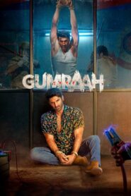 Gumraah 2023 one on netflix