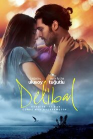 Delibal 2015 one on netflix