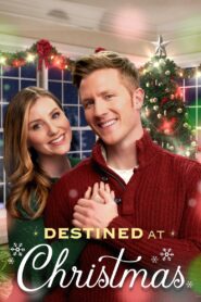 Destined at Christmas 2022 one on netflix