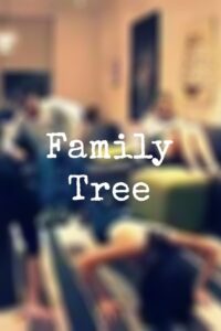 Family Tree 2009 one on netflix