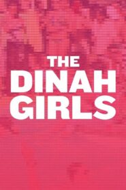 The Dinah Girls 2011 one on netflix