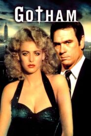 Gotham 1988 one on netflix