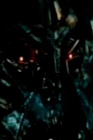 TransTrans (TransformersTransformed) 2009 one on netflix