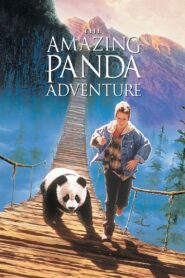 The Amazing Panda Adventure 1995 one on netflix