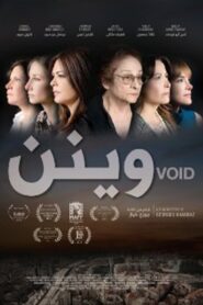 Void 2013 one on netflix