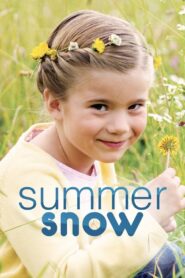 Summer Snow 2014 one on netflix