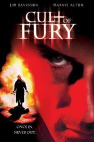 Disaster 2003 one on netflix