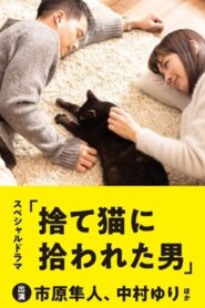 The Man Who Got Picked Up by a Stray Cat 2019 one on netflix