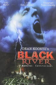 Black River 2001 one on netflix