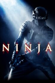 Ninja 2009 one on netflix