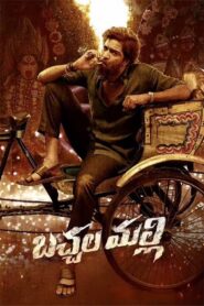 Bachhala Malli 2024 one on netflix