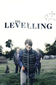 The Levelling 2017 one on netflix