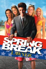 Spring Break Lawyer 2001 one on netflix