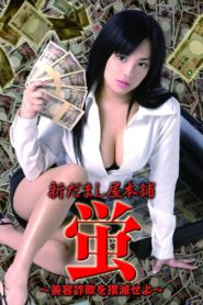 New Hotaru The Hyper Swindler 3 2006 one on netflix