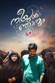 Neeyum Njanum 2019 one on netflix