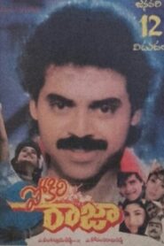 Pokiri Raja 1995 one on netflix