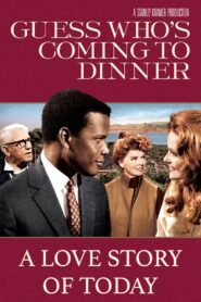 A Love Story of Today 2008 one on netflix