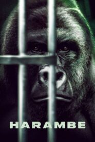 Harambe 2023 one on netflix