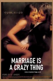 Marriage Is a Crazy Thing 2002 one on netflix