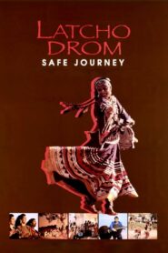 Safe Journey 1993 one on netflix