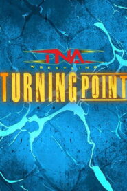 TNA Turning Point 2024 2024 one on netflix