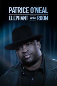 Patrice O’Neal: Elephant in the Room 2011 one on netflix