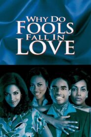 Why Do Fools Fall In Love 1998 one on netflix