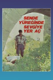 Sen De Yüreğinde Sevgiye Yer Aç 1987 one on netflix