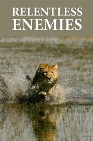 Relentless Enemies: Revealed 2022 one on netflix