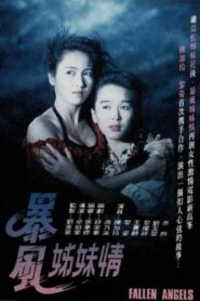 Fallen Angels 1991 one on netflix