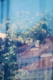 Suburban Windows 1981 one on netflix