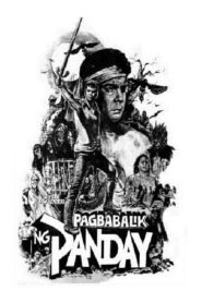 Pagbabalik ng Panday 1981 one on netflix