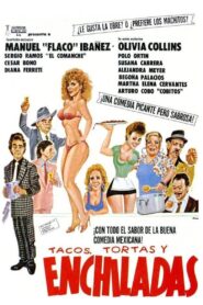 Tacos, tortas y enchiladas 1990 one on netflix