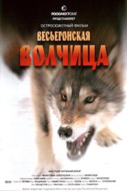 A Wolf from Vesyegonsk 2004 one on netflix