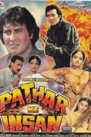 Pathar Ke Insan 1990 one on netflix