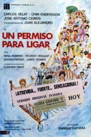 Un permiso para ligar 1980 one on netflix