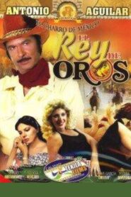 El rey de oros 1984 one on netflix