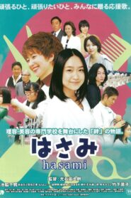 Hasami 2012 one on netflix