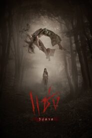 Curses 2019 one on netflix