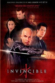 Invincible 2001 one on netflix