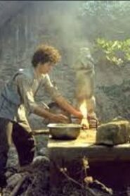 The Enchantress 1985 one on netflix