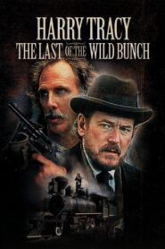 Harry Tracy, Desperado 1982 one on netflix