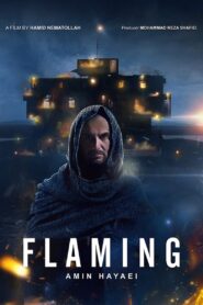 Flaming 2018 one on netflix