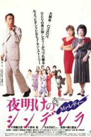 Mr. Lady Cinderella at Dawn 1990 one on netflix