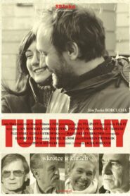 Tulips 2005 one on netflix
