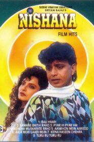 Nishana 1995 one on netflix