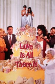 Love Is All There Is 1996 one on netflix