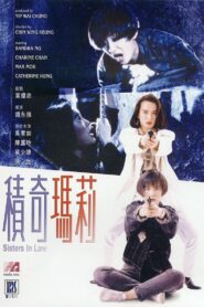 Sisters In Law 1992 one on netflix