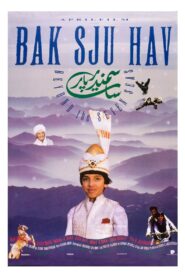 Beyond the Seven Seas 1991 one on netflix